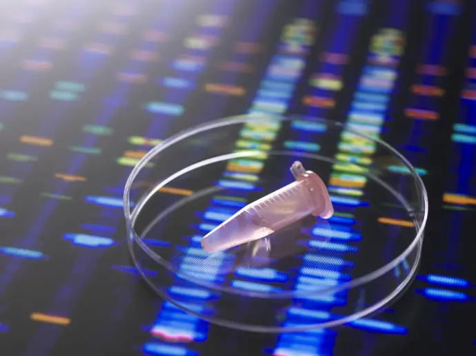 Second Generation DNA Gel Documentation System